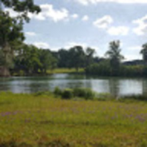 Meet your Posher, Nichole